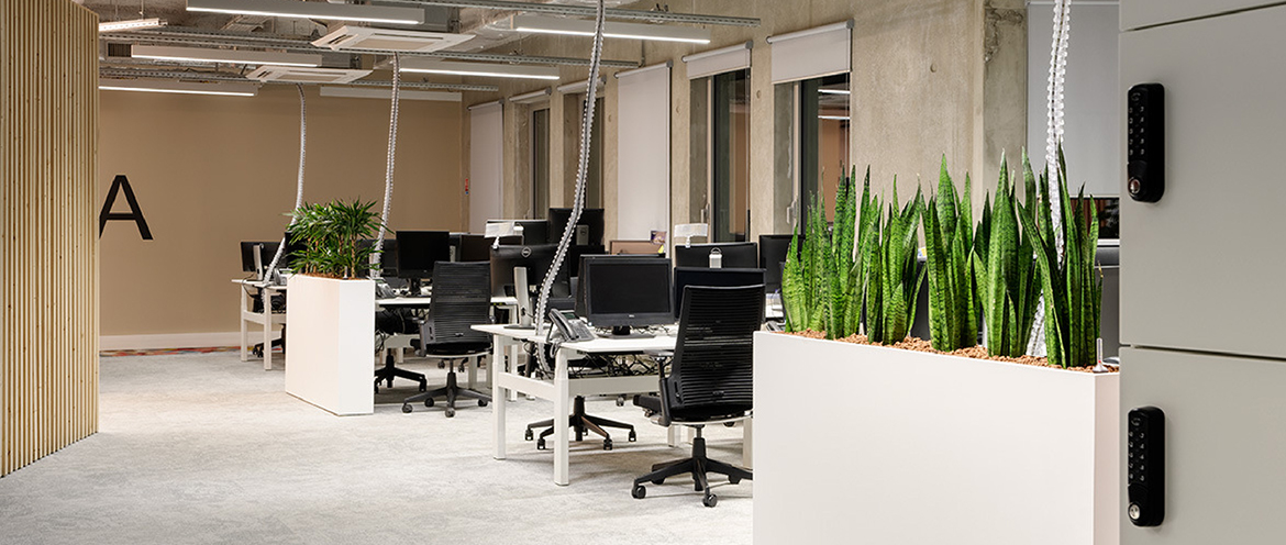 Sao Mai Joint Stock Company3