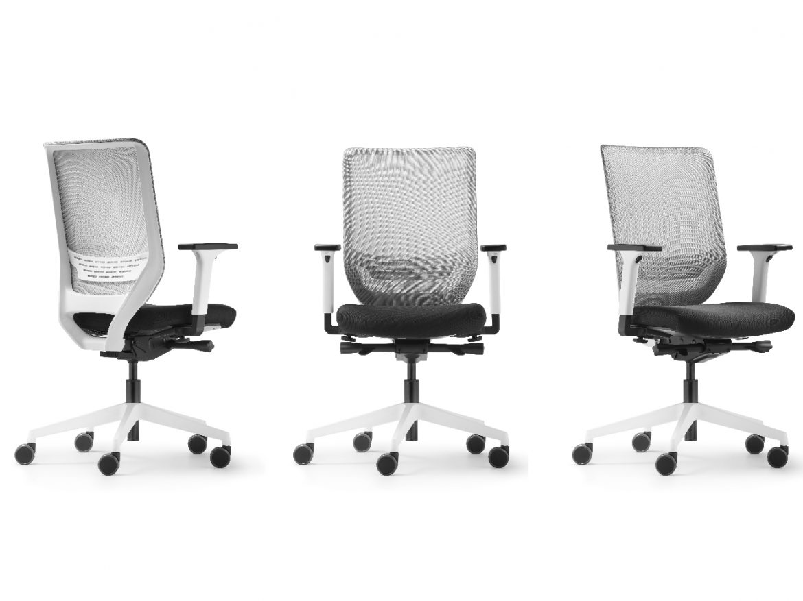 ALINEA INTERNATIONAL Ltd1