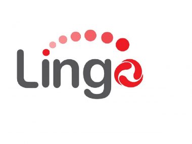 Lingo E-commerce Joint Stock Company