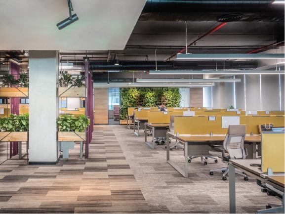 Operator of Da Bac Industrial Zone