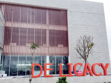 Delicacy Industrial Company Limited Vietnam