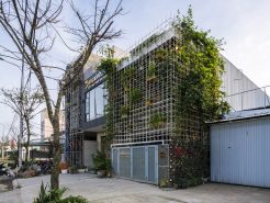 Xưởng gỗ cũ hóa thành ngôi nhà xanh mát ở Đà Nẵng