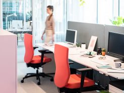 Nội thất văn phòng nhập khẩu trong không gian làm việc xanh