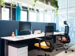 Nội thất văn phòng nhập khẩu dành riêng cho nhân viên văn phòng