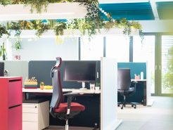 Nội thất văn phòng nhập khẩu nào đang được yêu thích tại Việt Nam?