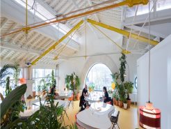 Văn phòng xanh – Xu hướng xanh hóa nơi làm việc