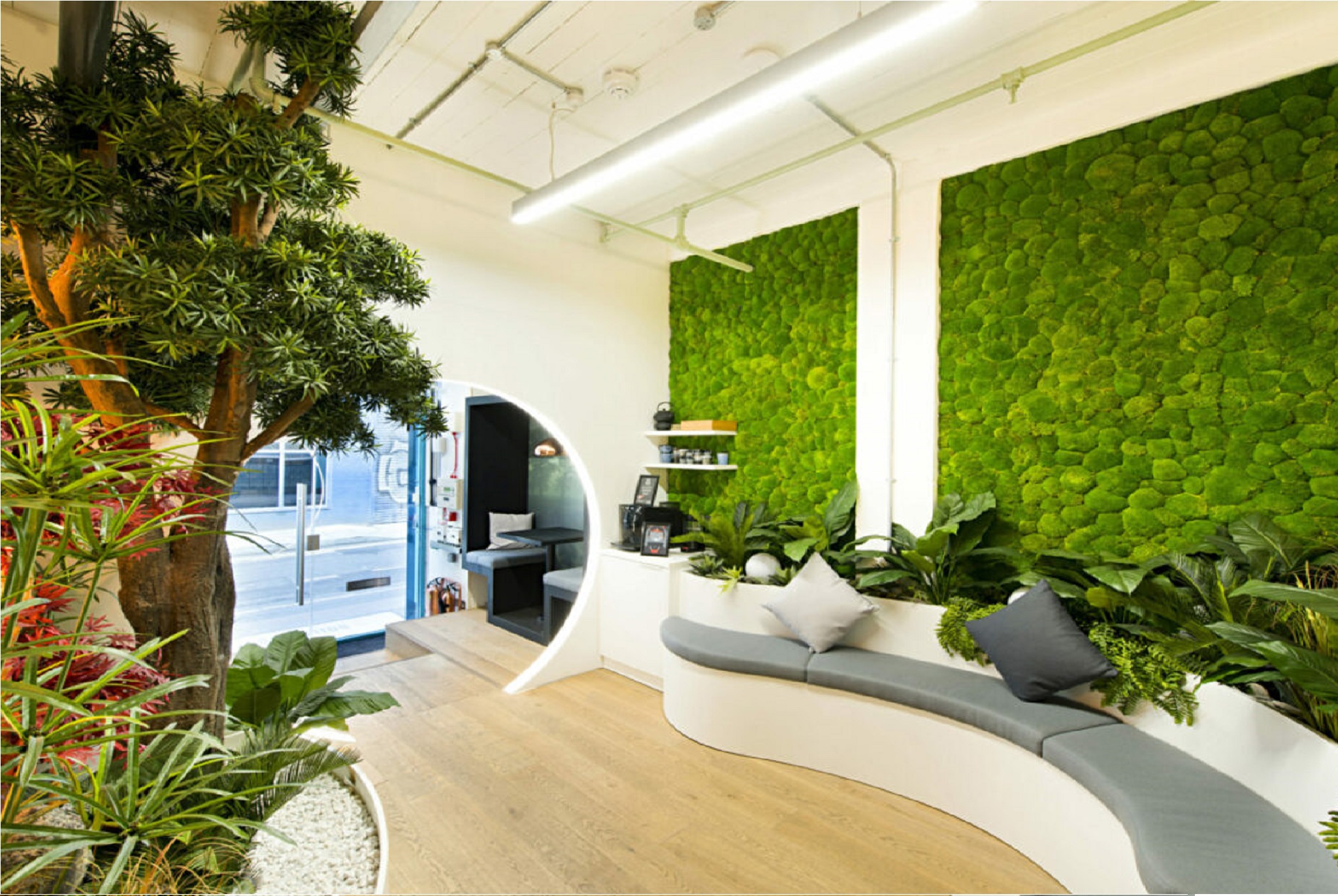 Green office greening trend in the workplace