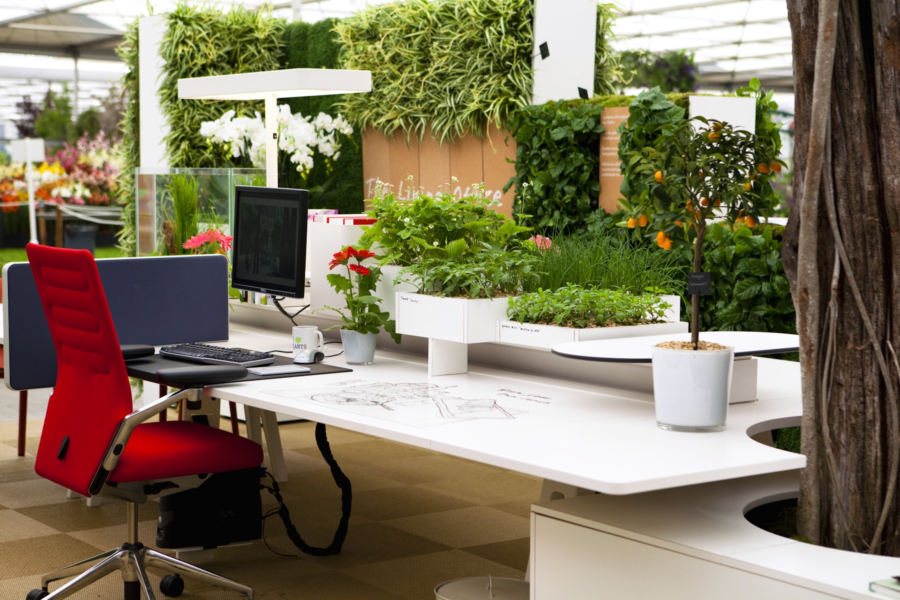 Office design - Sustainable design style green office design