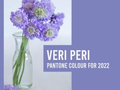 VERY PERI – SẮC THÁI MỚI CHO NỘI THẤT VĂN PHÒNG TRONG NĂM 2022