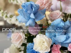 8-3 tại văn phòng làm việc của PROCE 2022