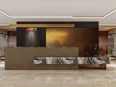 DFE Investment Management