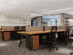 Luxury office – New “Vibe” of modern young people