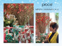 Merry Christmas 2022 – Không khí ấm áp tại PROCE