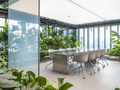 Mr. Green’s Office an outdoor garden in a high -rise concrete block