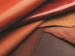 Da bò và ứng dụng của nó trong phòng họp (Phần 2)