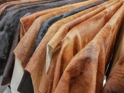 Da bò và ứng dụng của nó trong phòng họp (Phần 1)