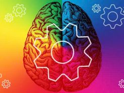 Tâm lý học màu sắc trong thiết kế nội thất phòng chủ tịch