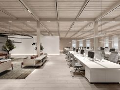 Trần chống cháy an toàn cho nội thất văn phòng hạng sang