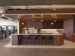 So sánh độ bền của gỗ dùng trong nội thất văn phòng hạng sang